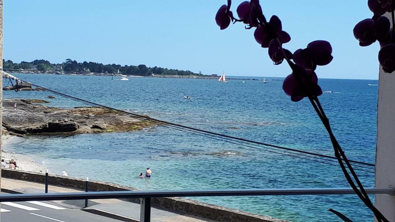 Studio Face A La Mer Concarneau Kültér fotó